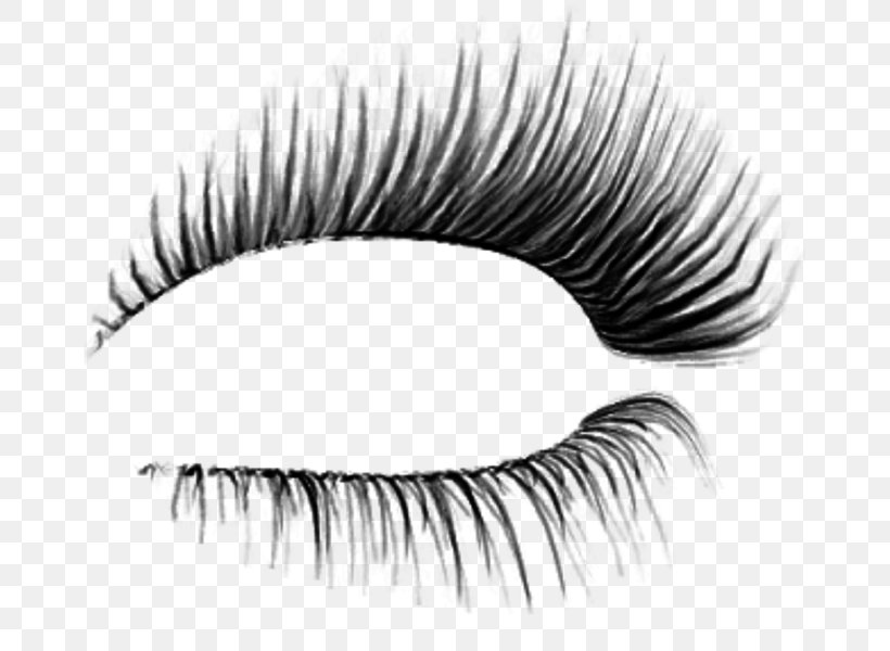 Eyelash Extensions Transparency Cosmetics Eyebrow, PNG, 665x600px ...