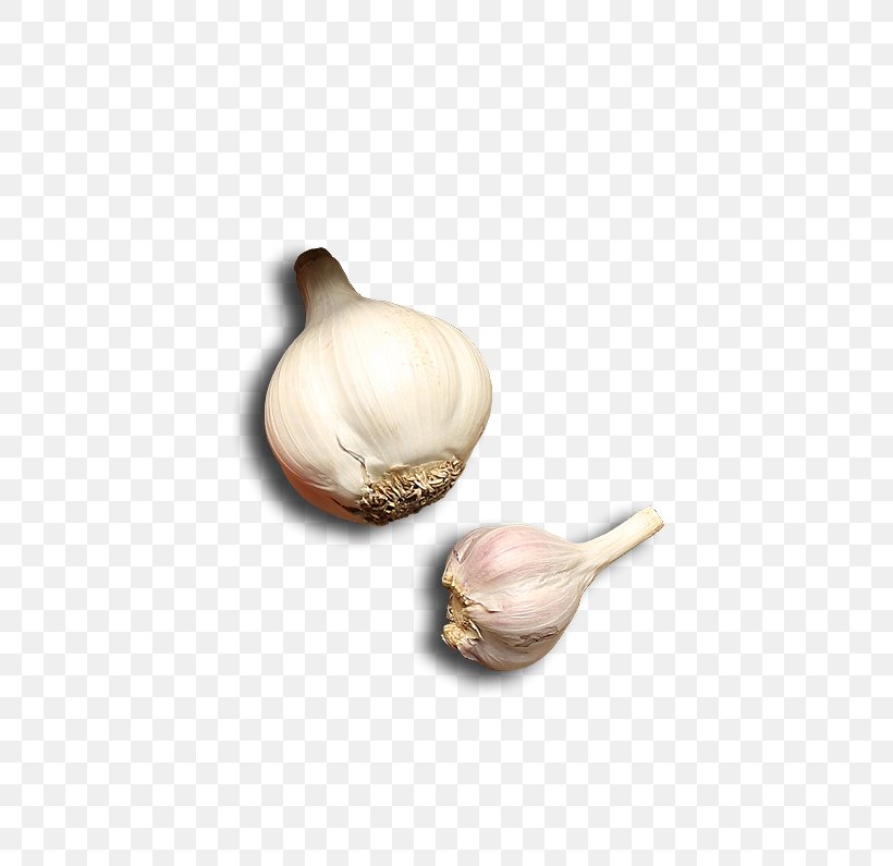 Garlic Vegetable Download Computer File, PNG, 798x795px, Garlic, Food, Gratis, Ingredient, Resource Download Free