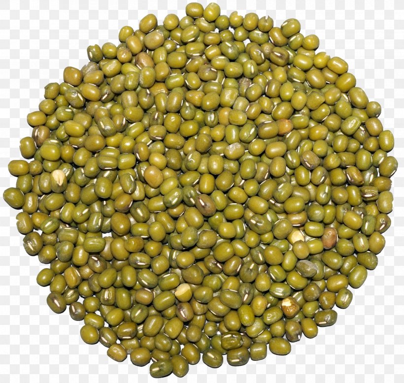 Mung Bean Lentil Vegetarian Cuisine Common Bean, PNG, 3350x3180px, Mung Bean, Agriculture, Bean, Broad Bean, Common Bean Download Free