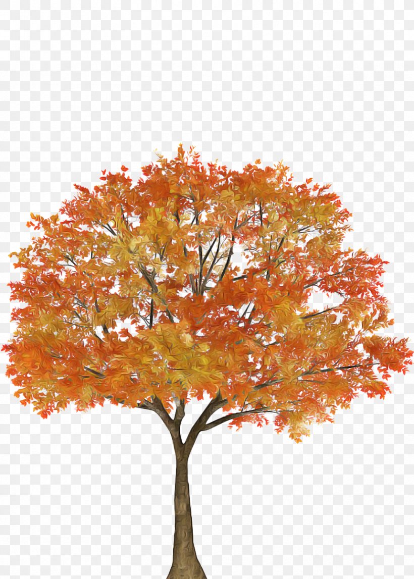 Oak Tree Leaf, PNG, 859x1202px, Tree, Autumn, Autumn Leaf Color, Black Maple, Branch Download Free