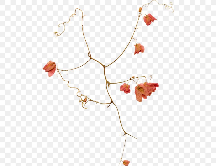 Twig Background, PNG, 500x630px, Necklace, Body Jewellery, Branch, Flower, Jewellery Download Free