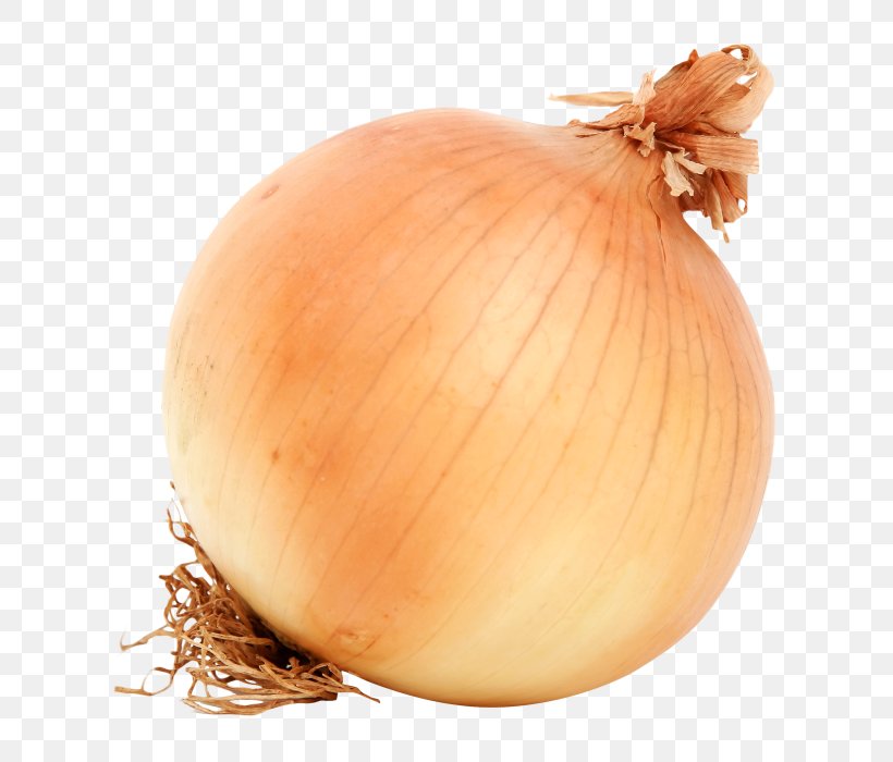 Yellow Onion Vegetable Red Onion White Onion, PNG, 700x700px, Yellow Onion, Allium, Allium Fistulosum, Food, Ingredient Download Free