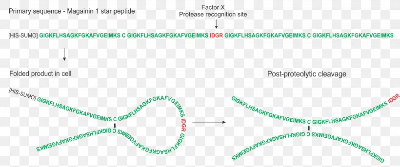 Circle Diagram Angle Point, PNG, 3241x1357px, Diagram, Brand, Green, Number, Organism Download Free