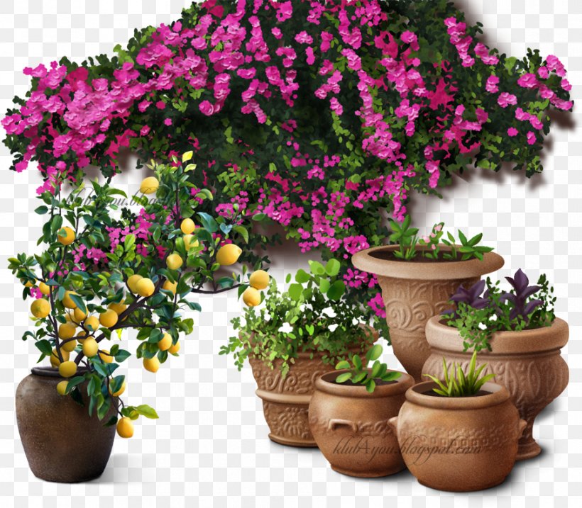 Flowerpot Tree Houseplant Shrub, PNG, 907x794px, Flowerpot, Flower, Herb, Houseplant, Plant Download Free