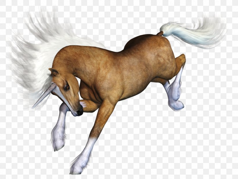 Mustang Australian Stock Horse Pony Mane, PNG, 1024x768px, 3d Computer Graphics, Mustang, Animal, Australian Stock Horse, Carnivoran Download Free