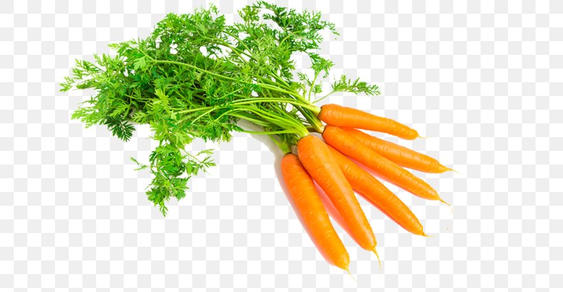 Carrot Vegetable Food Root Oil, PNG, 650x426px, Carrot, Almond, Baby Carrot, Carrier Oil, Diet Food Download Free