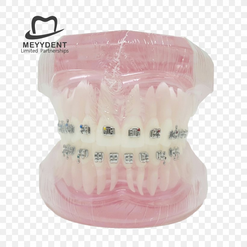 หจก.เมย์เด้นท์ Dentist Jaw Human Tooth, PNG, 1500x1500px, 2017, Dentist, Dentistry, Email, Gmail Download Free