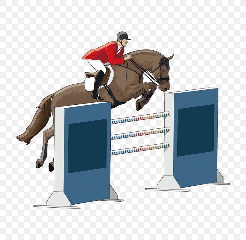 Horse Equestrianism Show Jumping Drawing Illustration, PNG, 800x800px, Horse, Animal Sports, Animation, Bridle, Cartoon Download Free