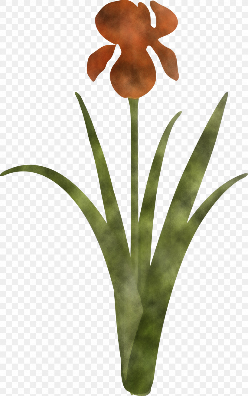 Iris Flower Spring Flower, PNG, 1881x3000px, Iris Flower, Flower, Iris, Orchid, Plant Download Free