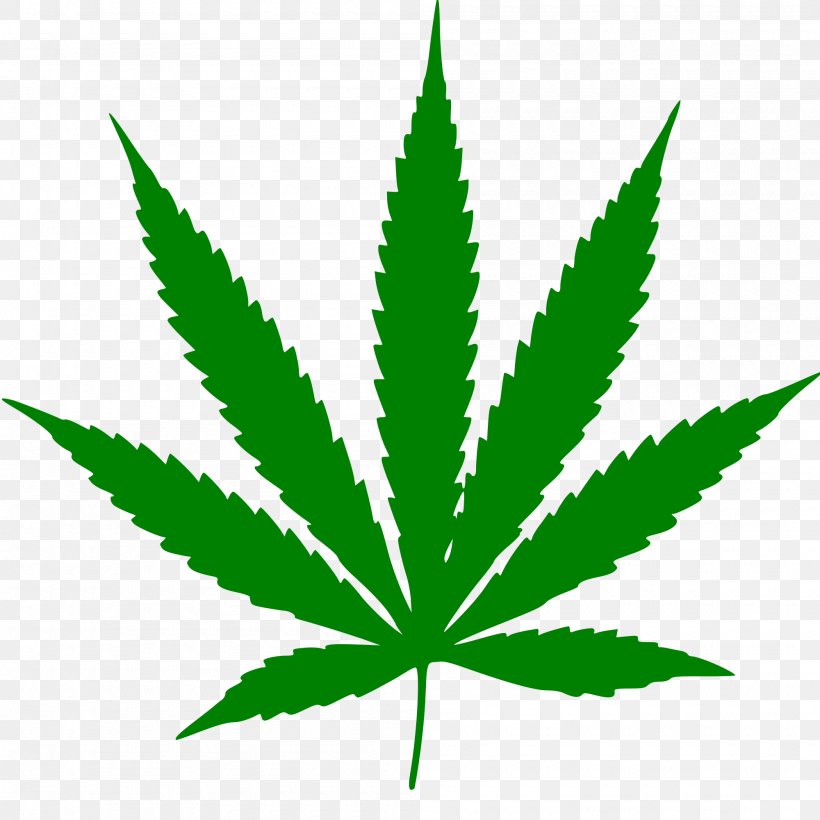 Cannabis Smoking Leaf Hemp Clip Art, PNG, 2000x2000px, 420 Day, Cannabis, Cannabis Smoking, Grass, Green Download Free