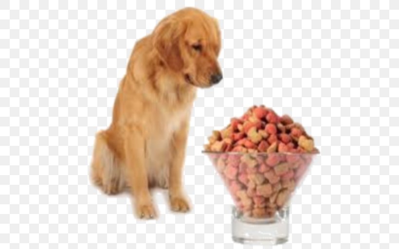 Dog Food, PNG, 512x512px, Golden Retriever, Cat Food, Companion Dog, Dog, Dog Food Download Free