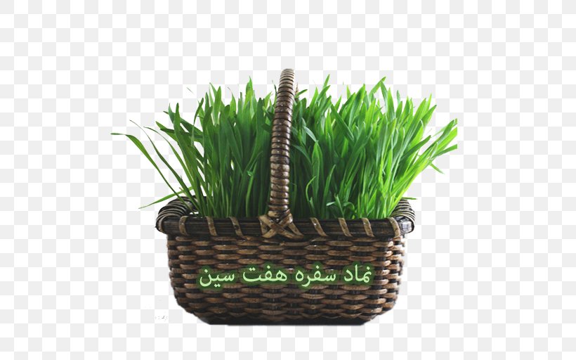 Haft-sin Sabze Nowruz New Year Holiday, PNG, 512x512px, Haftsin, Android, Basket, Computer Program, Computer Software Download Free