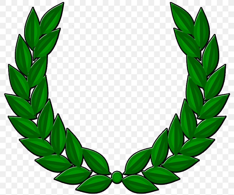 Laurel Wreath Bay Laurel Clip Art, PNG, 800x683px, Laurel Wreath, Bay Laurel, Grass, Leaf, Plant Download Free