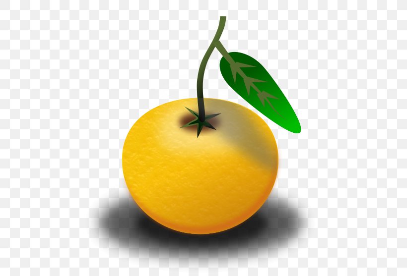 Orange Juice Clip Art, PNG, 502x557px, Orange Juice, Apple, Bitter Orange, Citrus, Clementine Download Free