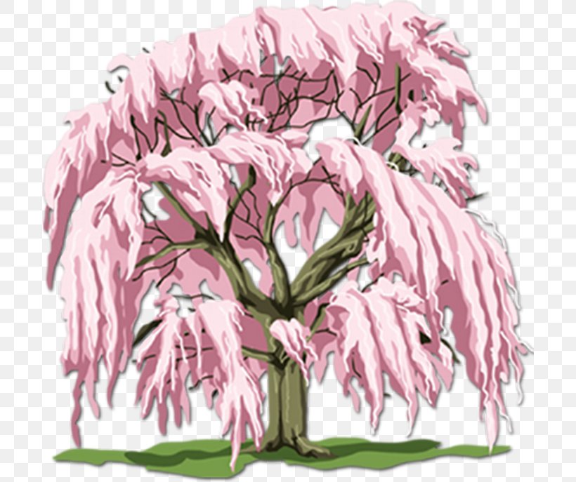 Branch Tree Cherry Blossom, PNG, 700x687px, Branch, Blossom, Cherry Blossom, Color, Cut Flowers Download Free