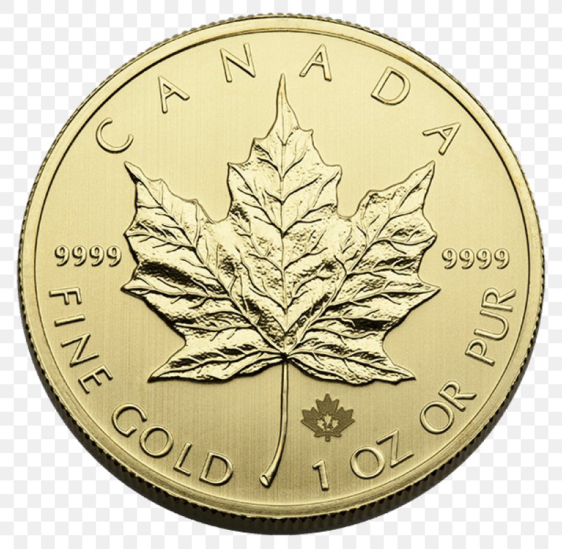 Canada Canadian Gold Maple Leaf Canadian Silver Maple Leaf Bullion Coin, PNG, 800x800px, Canada, Bullion, Bullion Coin, Canadian Gold Maple Leaf, Canadian Maple Leaf Download Free