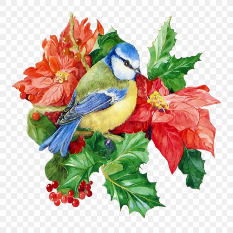 Christmas Ornament Santa Claus Flower Floral Design, PNG, 1000x1000px, Christmas, Art, Beak, Bird, Christmas Ornament Download Free