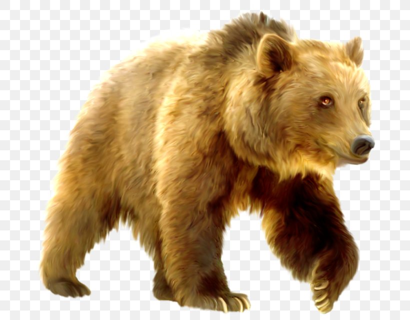 Grizzly Bear Яндекс.Фотки Download, PNG, 700x639px, 3d Computer Graphics, Grizzly Bear, Animal, Bear, Brown Bear Download Free