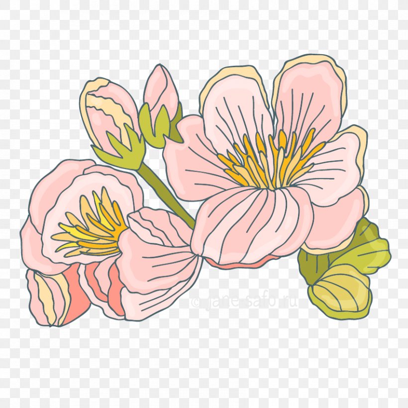 Image Floral Design Flower Clip Art, PNG, 850x850px, Floral Design, Alstroemeriaceae, Botany, Drawing, Flower Download Free