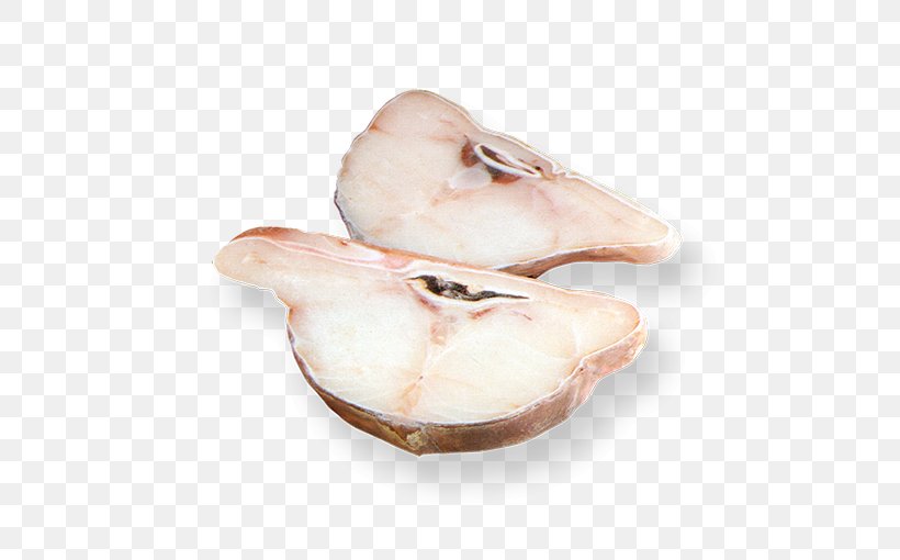 Clam Jaw Shoe, PNG, 510x510px, Clam, Animal Source Foods, Clams Oysters Mussels And Scallops, Jaw, Outdoor Shoe Download Free