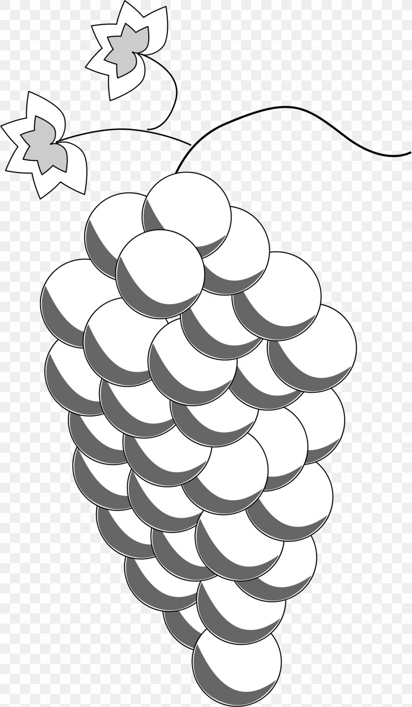 Common Grape Vine Wine Drawing, PNG, 1340x2298px, Common Grape Vine, Black And White, Branch, Drawing, Flower Download Free