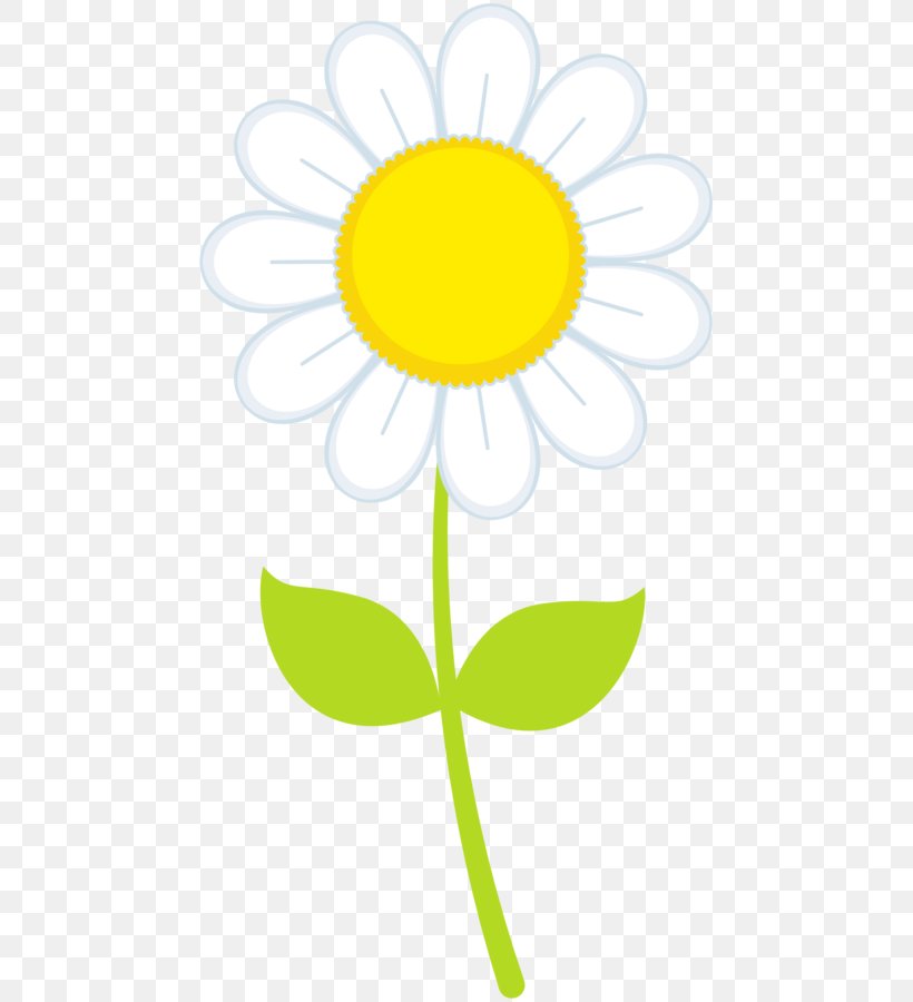 Flower Clip Art Paper Clip Illustration Drawing, PNG, 463x900px, Flower, Daisy, Daisy Family, Drawing, Floral Design Download Free