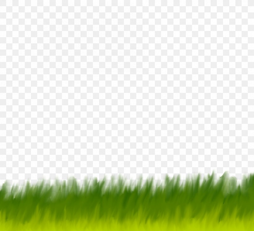 Grassland Crop Grasses Lawn Desktop Wallpaper, PNG, 900x819px, Grassland, Agriculture, Commodity, Computer, Crop Download Free