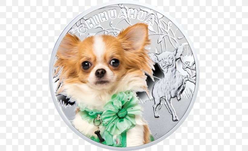 Chihuahua Mint Coin Cat Silver, PNG, 500x500px, Chihuahua, Blue Merle, Carnivoran, Cat, Coin Download Free