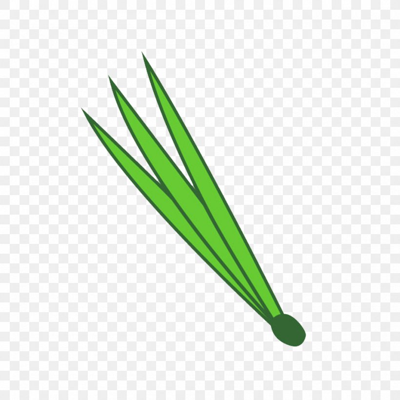 Green Line Leaf, PNG, 950x950px, Green, Grass, Leaf, Plant Stem Download Free