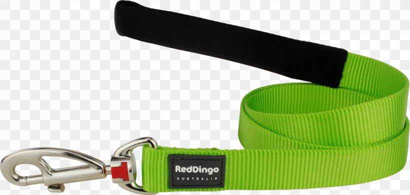 Leash Green Belt, PNG, 3000x1430px, Leash, Belt, Computer Hardware, Fashion Accessory, Green Download Free