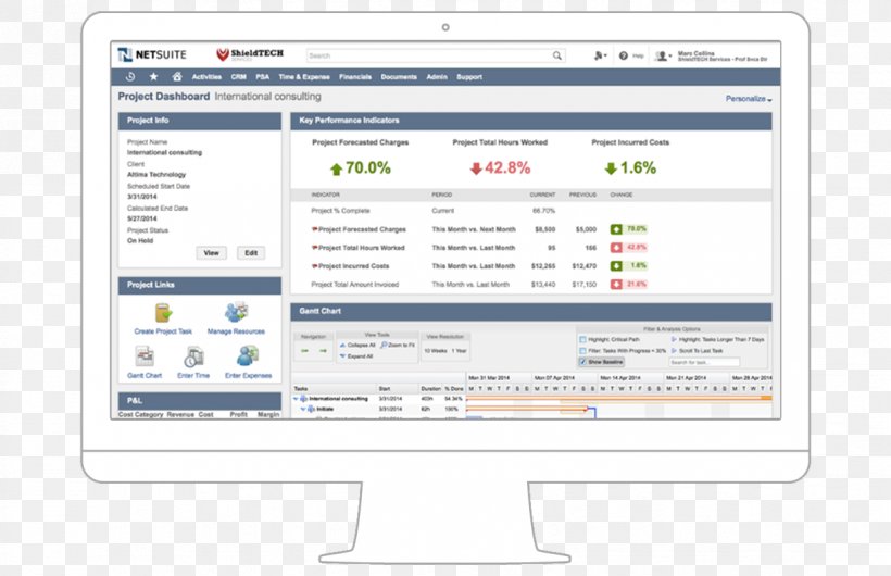 NetSuite User Interface Computer Software Enterprise Resource Planning, PNG, 1224x792px, Netsuite, Area, Business Software, Computer, Computer Monitor Download Free