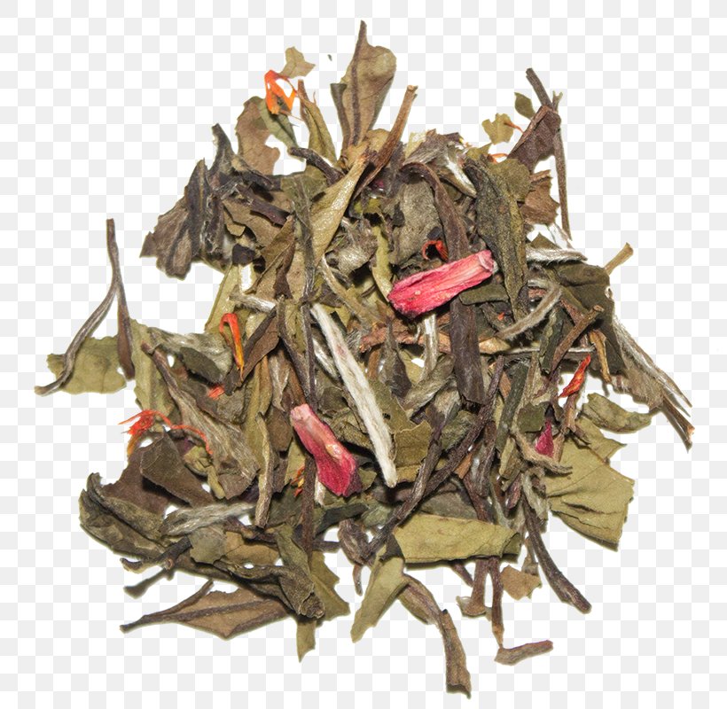 Nilgiri Tea Hōjicha Tea Plant, PNG, 800x800px, Nilgiri Tea, Bai Mudan, Bancha, Ceylon Tea, Da Hong Pao Download Free