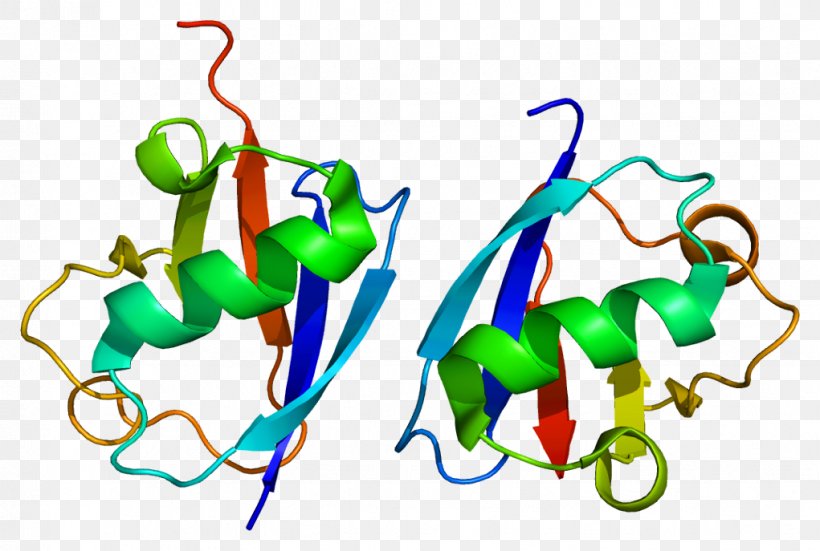 UHRF1 RING Finger Domain Gene Cell Molecular Biology, PNG, 1021x687px, Watercolor, Cartoon, Flower, Frame, Heart Download Free