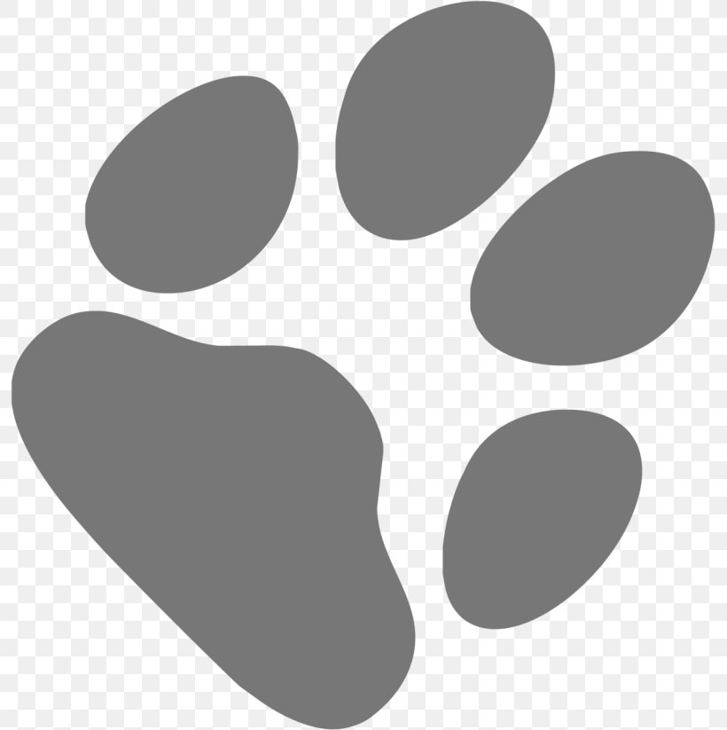 Cat Paw Au Rond'pat Poodle Toiletteur, PNG, 795x823px, Cat, Animal, Avignon, Black, Black And White Download Free