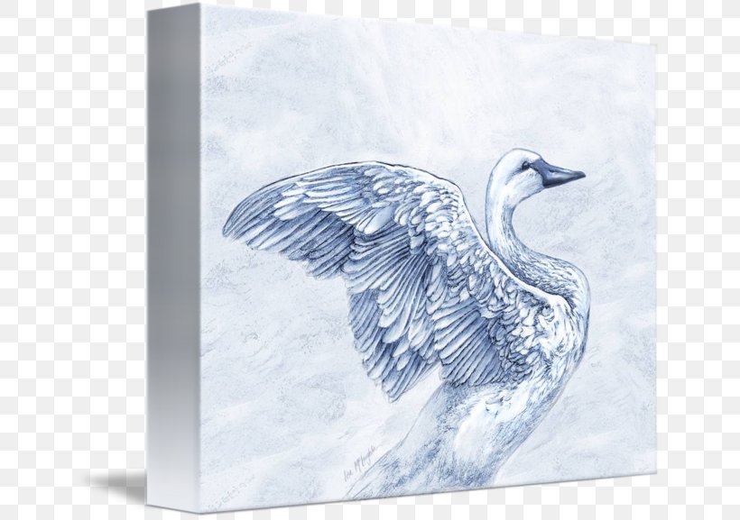 Duck Cygnini Imagekind Goose Art, PNG, 650x577px, Duck, Art, Beak, Bird, Canvas Download Free