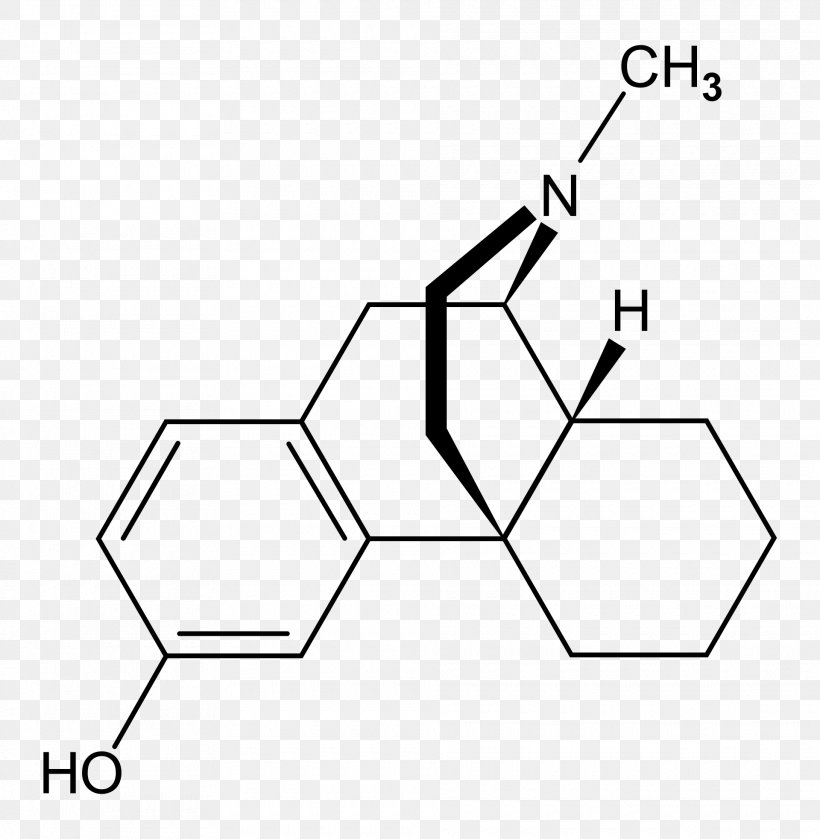 Salen Ligand XPhos Chemistry Receptor, PNG, 1920x1965px, Ligand, Agonist, Area, Black, Black And White Download Free