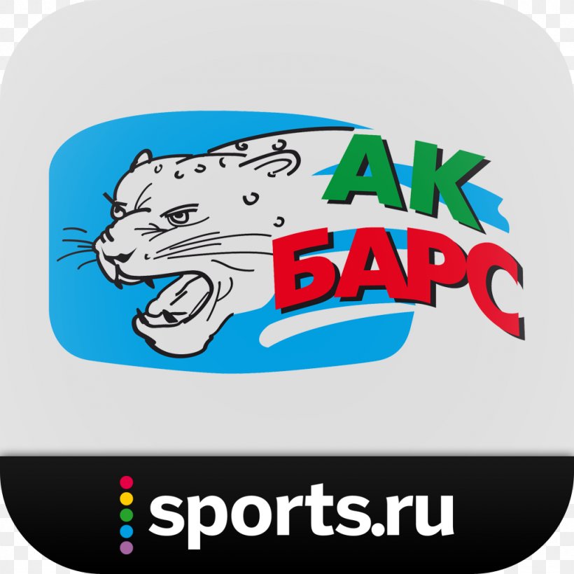 Ak Bars Kazan Metallurg Magnitogorsk Avtomobilist Yekaterinburg Kontinental Hockey League HC Dinamo Minsk, PNG, 1024x1024px, Ak Bars Kazan, Admiral Vladivostok, Amur Khabarovsk, Area, Avangard Omsk Download Free