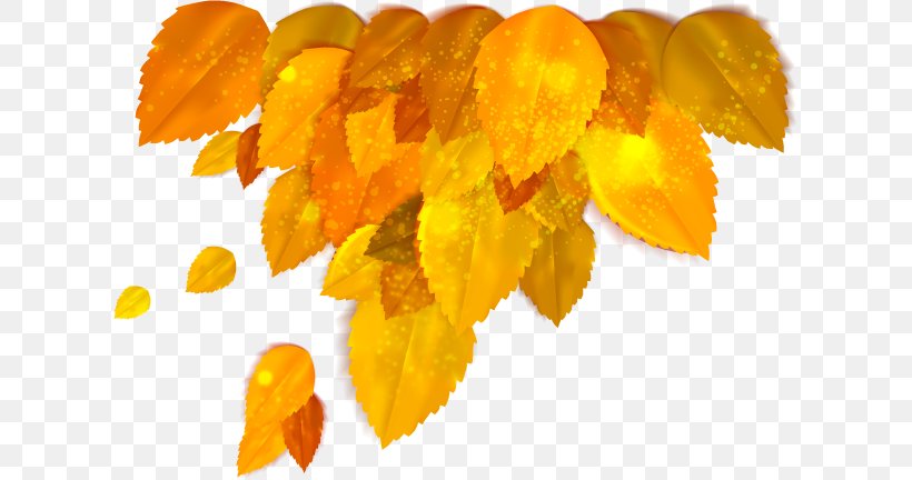Autumn Clip Art Stock Photography Vector Graphics Yellow, PNG, 616x432px, Autumn, Flower, Leaf, Orange, Plant Download Free