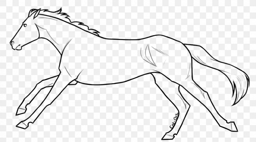 Mule Foal Pony Stallion Bridle, PNG, 902x500px, Mule, Animal Figure, Arm, Art, Artist Download Free
