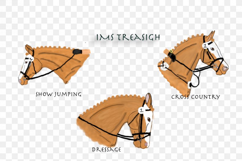 Bridle Horse Harnesses Rein Halter, PNG, 900x600px, Bridle, Bit, Halter, Horse, Horse Harness Download Free