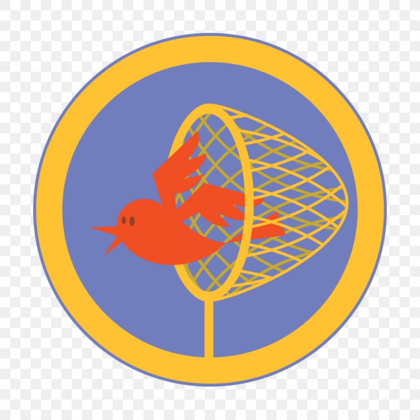 Clip Art Illustration Product Beak Logo, PNG, 1024x1024px, Beak, Area, Bird, Logo, Orange Download Free