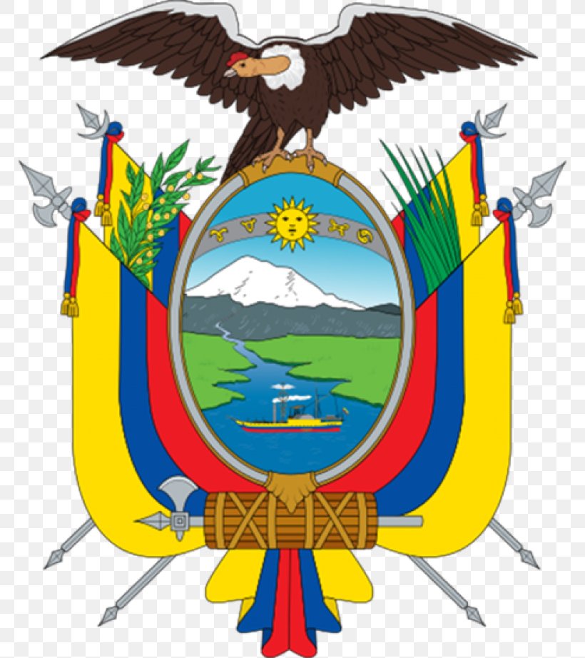 Coat Of Arms Of Ecuador National Symbols Of Ecuador Flag Of Ecuador Chimborazo, PNG, 768x922px, Coat Of Arms Of Ecuador, Artwork, Beak, Blazon, Chimborazo Download Free