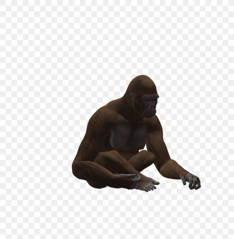 Gorilla Chimpanzee Primate Animal, PNG, 885x903px, Gorilla, Animal, Ape, Chimpanzee, Deviantart Download Free