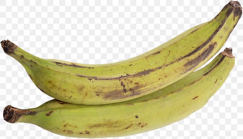 Saba Banana Cooking Banana Recipe, PNG, 1200x687px, Saba Banana, Banana, Banana Family, Child, Cooking Download Free