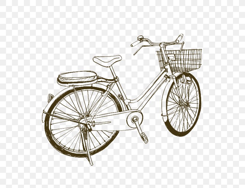 Bicycle Drawing Sketch, PNG, 544x631px, Bicycle, Bicycle Accessory, Bicycle Basket, Bicycle Drivetrain Part, Bicycle Frame Download Free