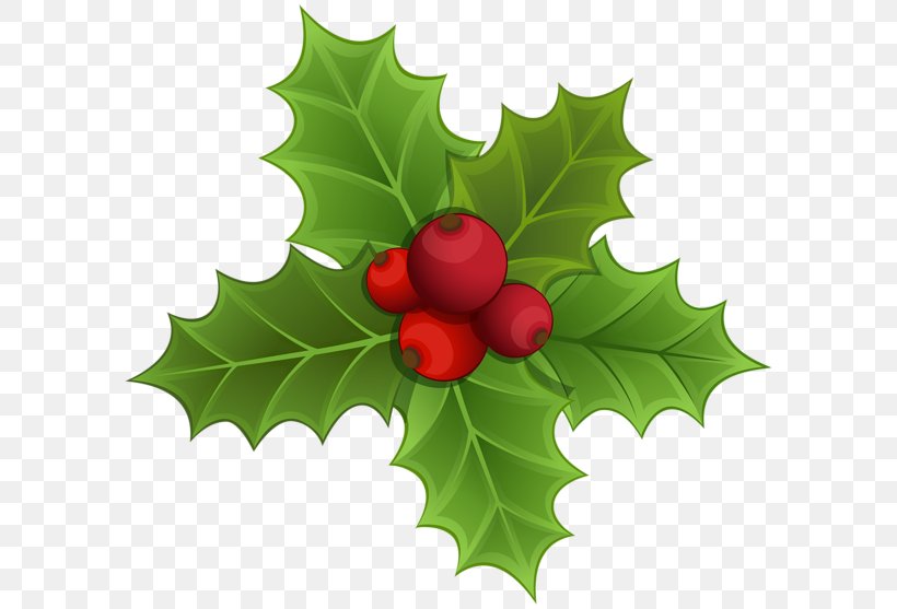 IPhone 7 Plus Mistletoe Christmas Clip Art, PNG, 600x557px, Iphone 7 Plus, Aquifoliaceae, Aquifoliales, Bing, Blog Download Free