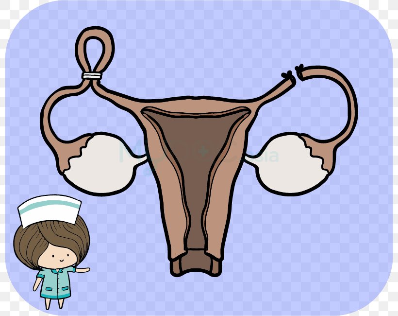 Cattle Pregnancy Uterus Ligase Fertility, PNG, 800x650px, Watercolor, Cartoon, Flower, Frame, Heart Download Free