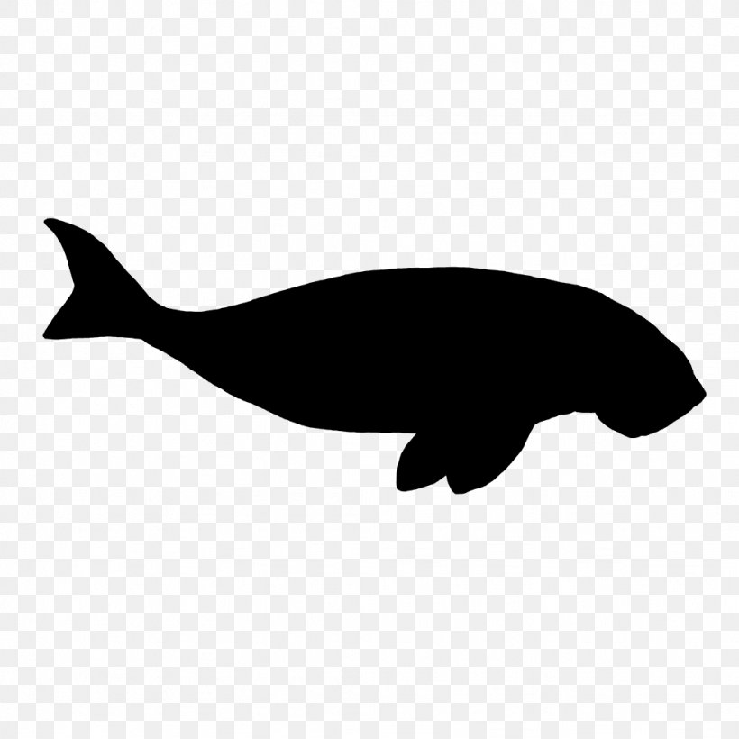 Dolphin Porpoise Whales Cetaceans Clip Art, PNG, 1024x1024px, Dolphin, Black M, Blue Whale, Bottlenose Dolphin, Bowhead Download Free