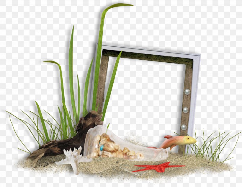 Picture Frame Clip Art, PNG, 3542x2736px, Picture Frame, Designer, Fish, Grass Download Free