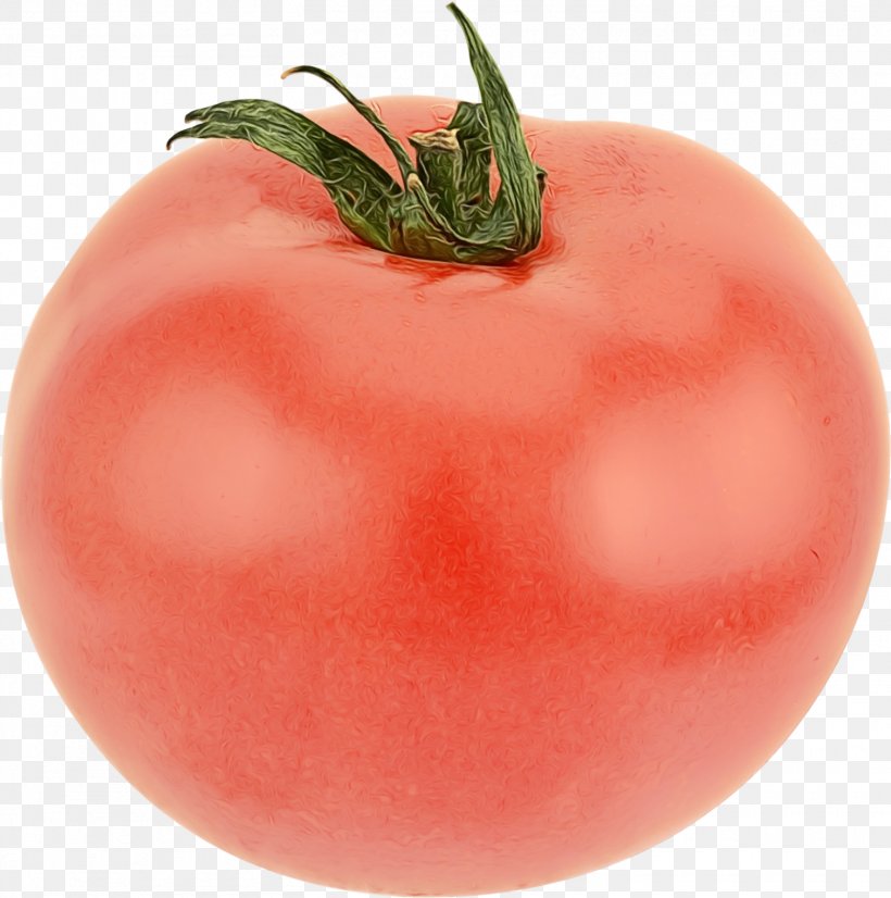 Tomato Cartoon, PNG, 1510x1522px, Plum Tomato, Bush Tomato, Diet, Diet Food, Food Download Free